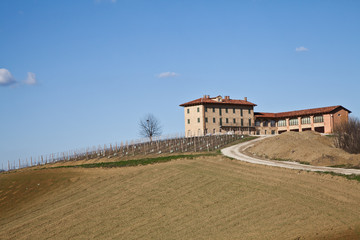 Fototapeta premium Italian villa with vineyard: spring season