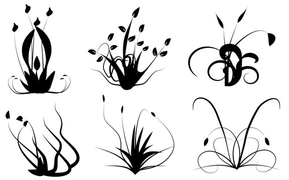 erba, fiori e cespugli