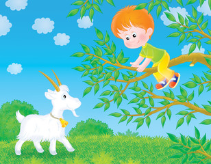 Obraz na płótnie Canvas Little boy saves oneself from a goat on a tree branch