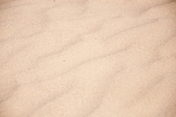 Fototapeta na wymiar sand on the beach close up