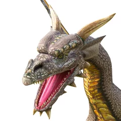 Crédence de cuisine en verre imprimé Dragons attaque de dragon en gros plan