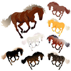 Vector collection of different colors of horses