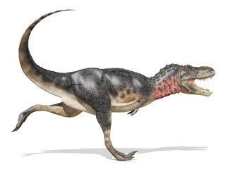 tarbosaurus side walk attack