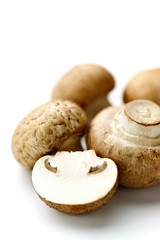 brown mushroom