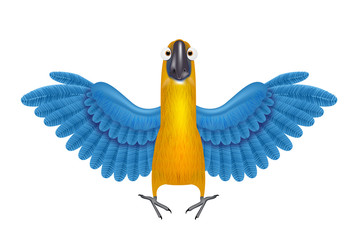 Cute macaw or parrot cartoon