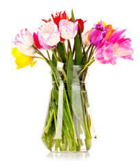 Tulips in vase isolated on white