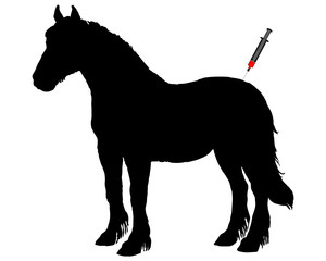 Impfung für Pferde
