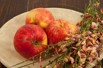 Obstteller