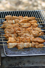 meat