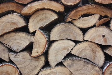 Firewood.