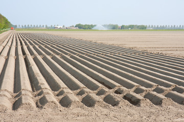 Bare farmland waiting for spring in the Netherlands