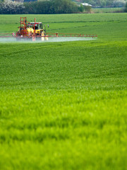 Fototapeta premium Tractor spraying a field on farm, agriculture