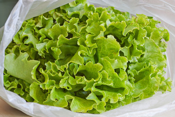 bundle of lettuce in bags