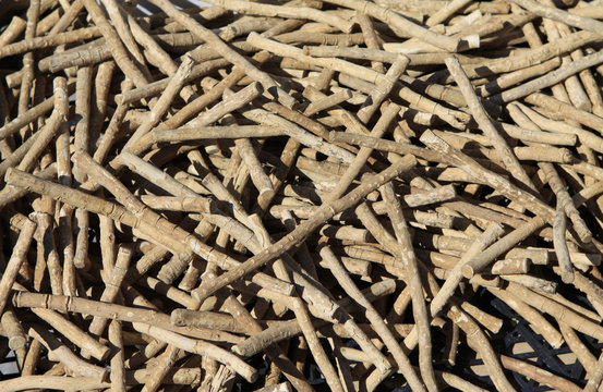 Misvak: Toothbrush tree