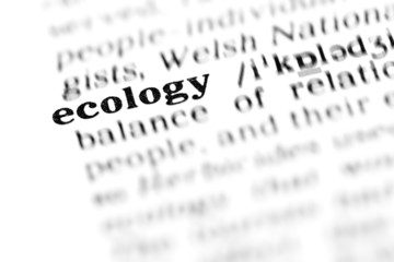 Fototapeta premium ecology (the dictionary project)
