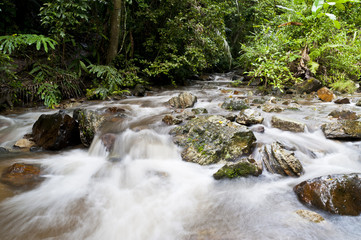 Flow of water fall in the forest