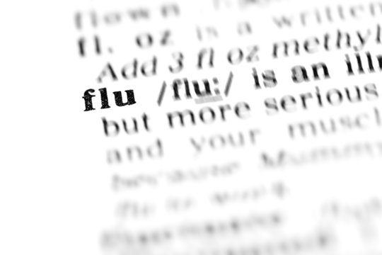 flu (the dictionary project)