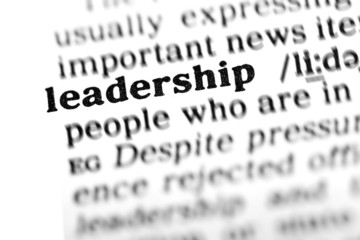leadership (the dictionary project)