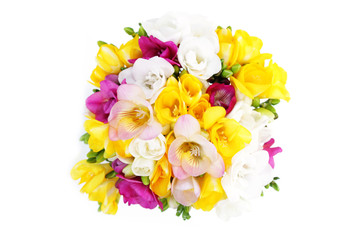 freesia flowers