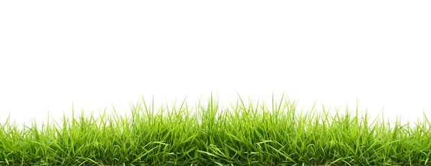Fotobehang Platteland fris lentegroen gras