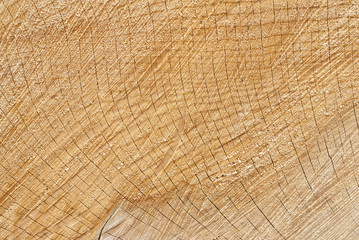 Naklejka premium Wood Texture/Backgrounds