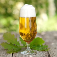Frisches Pils