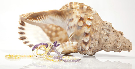 SÜSSWASSERPERLEN Photo © Herby Meseritsch