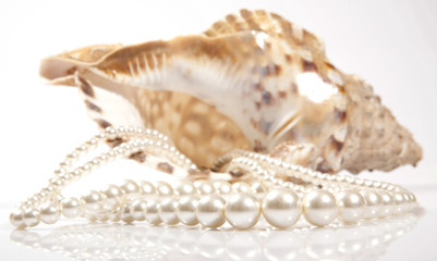 SCHÖNE PERLEN Photo © Herby Meseritsch