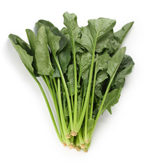 fresh spinach on white background