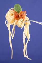 Spaghetti bolognese with basil leaves on a fork