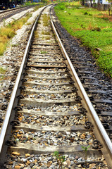 Fototapeta premium The railway get along to endless and around had grass.