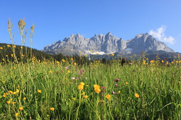 Wilder Kaiser 2