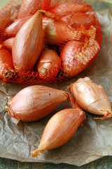 elite class onion shallot  on a wooden background