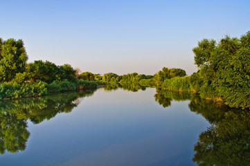 Fototapeta na wymiar Water mirror. Pond, green vegetation