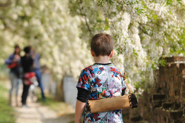 Spiderman in ferrara with acacia flowers © boole2