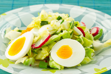 Spring salad of cabbage and radishes