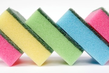 colorful sponges