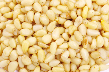 pine nuts