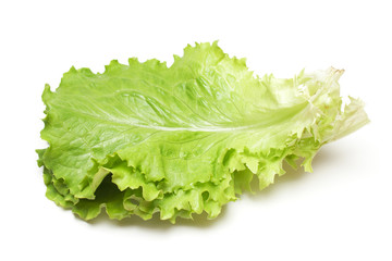 fresh salad on white