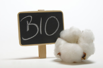 biobaumwolle
