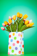 Tulips in the bag against gradient background