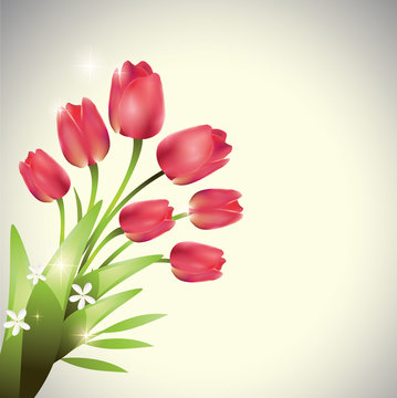 Pink tulips bouquet.Vector
