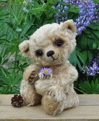 Teddy bear Lucky