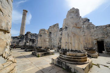 Ruines du temple d'Apollon à Didim