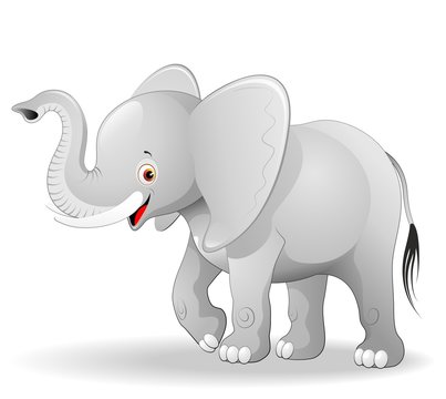 Elefante Cucciolo Cartoon-Cute Baby Elephant-Vector