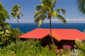 Maison cr&eacute;ole, palmier, mer, jardin botanique, Guadeloupe