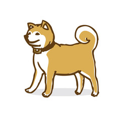 柴犬イラスト
