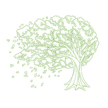 風に揺れる木 の画像 1 749 件の Stock 写真 ベクターおよびビデオ Adobe Stock