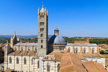 Naklejka premium Siena dome / cathedral (Duomo di Siena), Italy