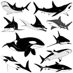 Obraz premium Set of various sharks, tattoo